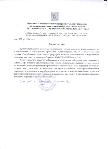 Отзыв Большесосновской школы
